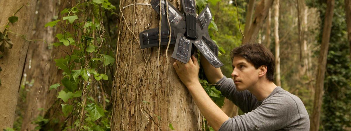 Installing a tracking device in a tree in a rainforest