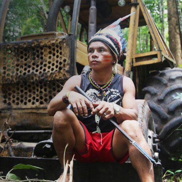 Man sitting on bulldozer in a rainforest