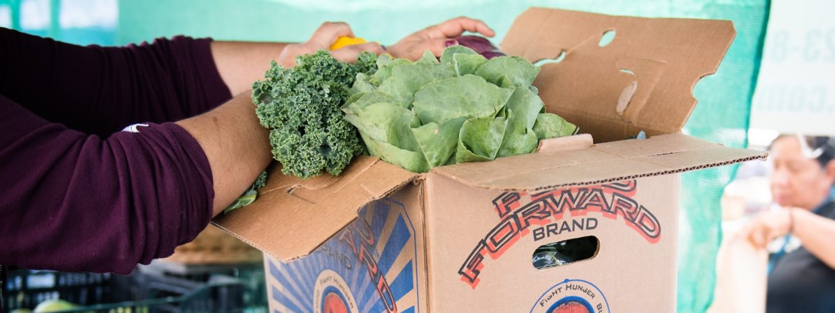 Fresh fruits and vegetables are stacked inside a Food Forward labeled box