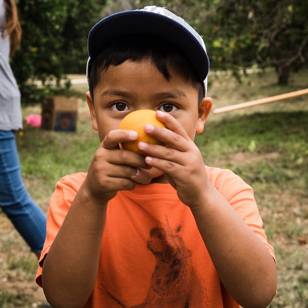 A young boy in an orange t-shirt peers out from behind an orange he holds close to his face