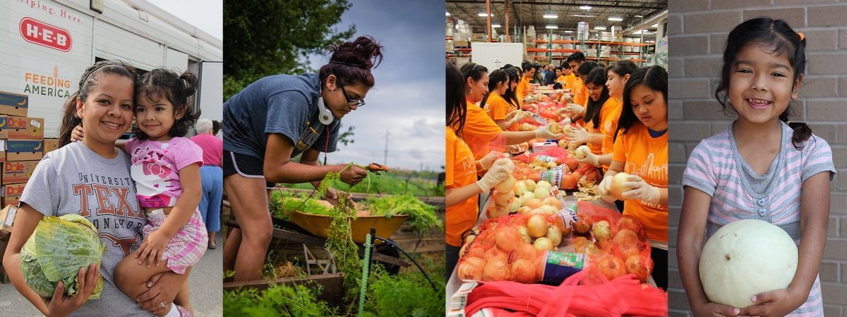 Multiple photos depicting the organizations work are strung together. A woman holding her daughter and produce; a young volunteer picking vegetables from a garden; a group of volunteers inspecting bags of onions; a small young girl smiling holding a honeydew