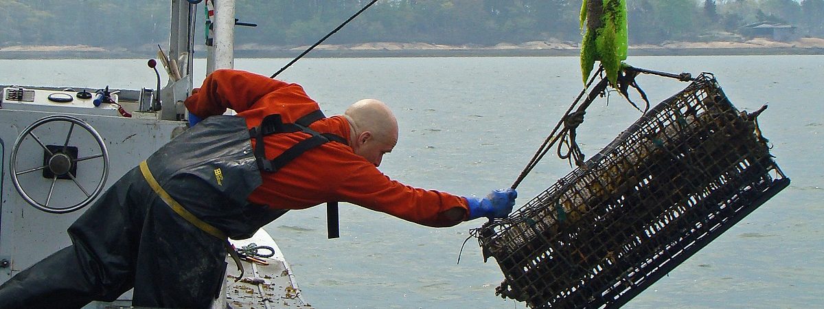 Bren Smith leans over a fishing boat to haul in a 3D Ocean Farming system