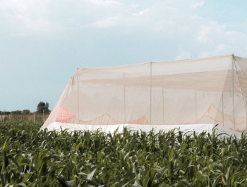 Kheyti Greenhouse from the outside