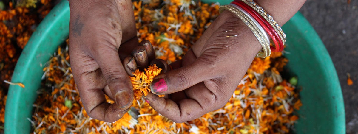 An Indian woman's hands are in a bright and colorful basket of flowers