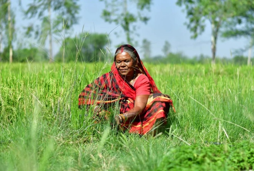 An Indian woman wearing red crouches in a field of green