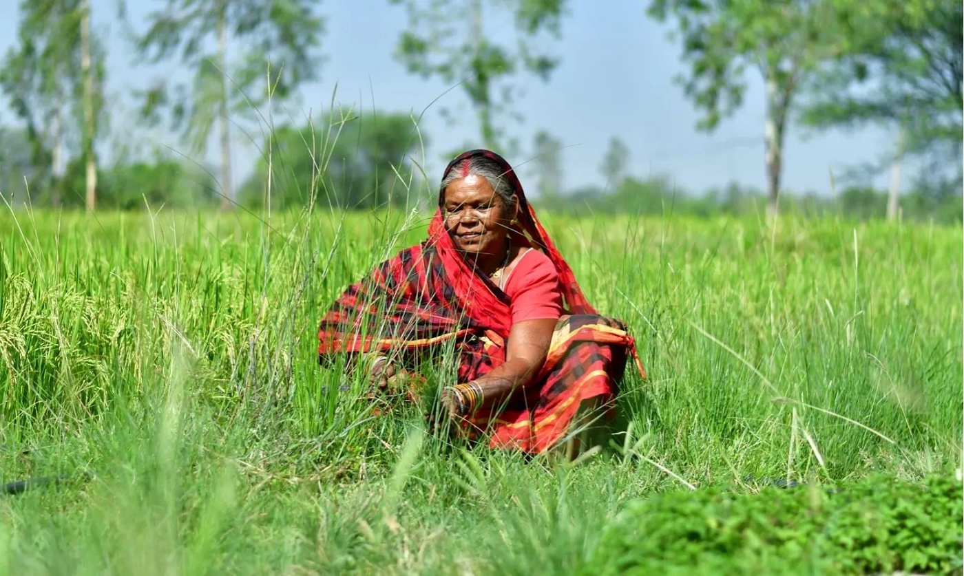 An Indian woman wearing red crouches in a field of green