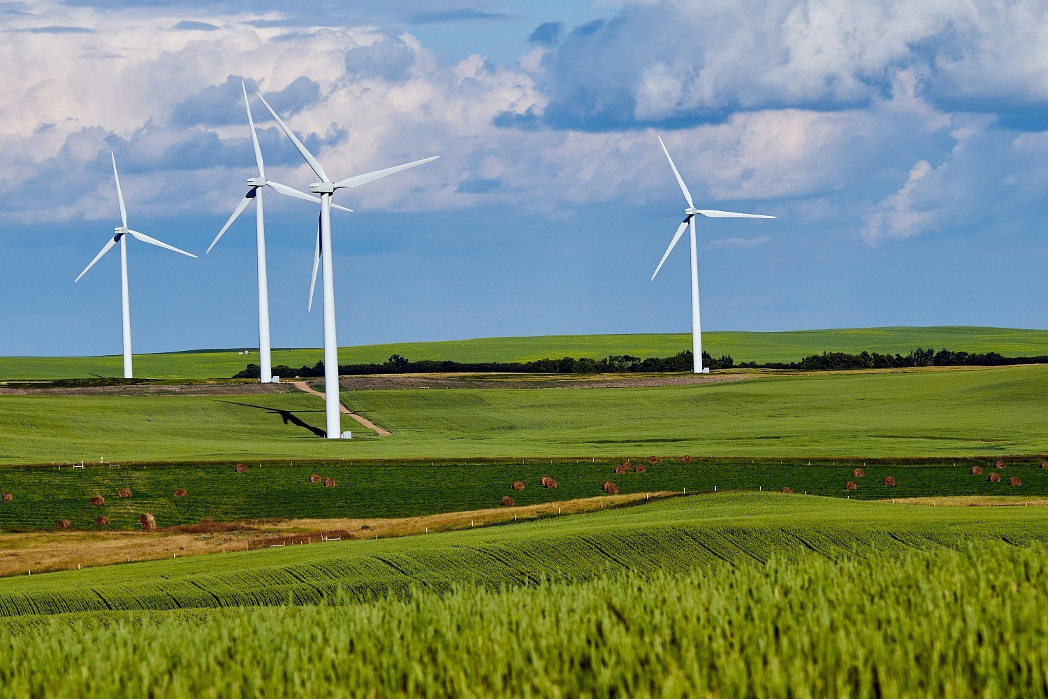 Wind turbines spin in a sunny field